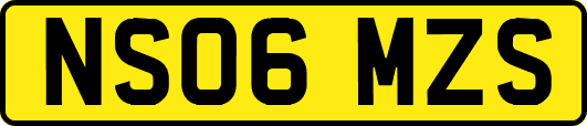 NS06MZS