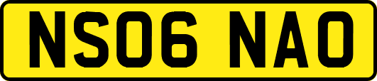 NS06NAO