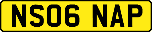 NS06NAP