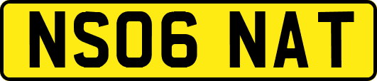 NS06NAT