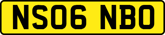NS06NBO