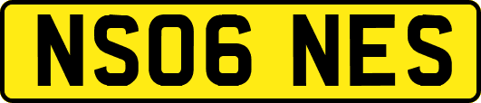 NS06NES