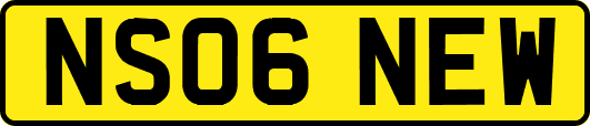 NS06NEW