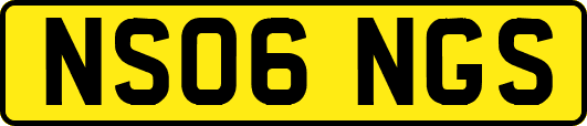 NS06NGS