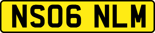 NS06NLM