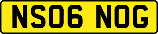 NS06NOG