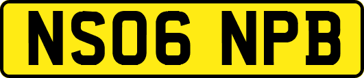NS06NPB