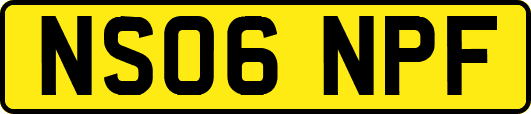 NS06NPF