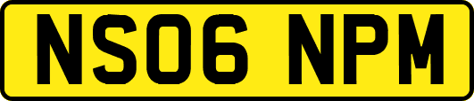 NS06NPM