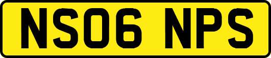 NS06NPS