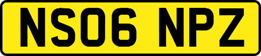 NS06NPZ