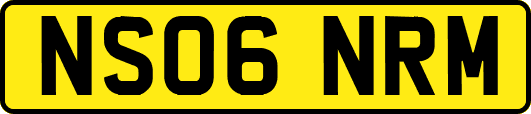 NS06NRM
