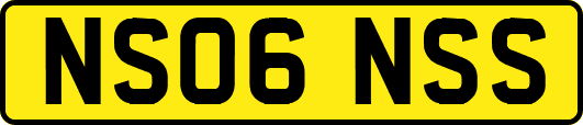 NS06NSS