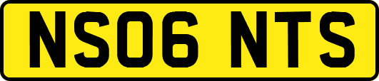 NS06NTS