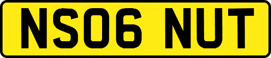NS06NUT
