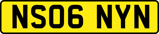 NS06NYN