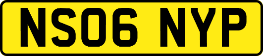 NS06NYP