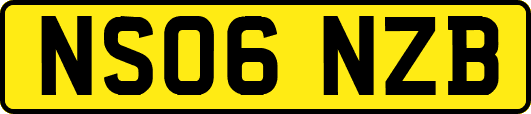 NS06NZB