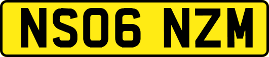 NS06NZM