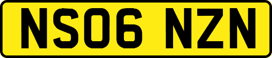 NS06NZN