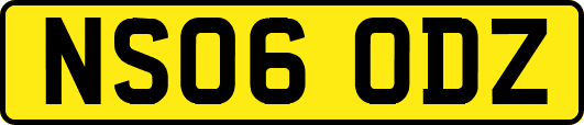 NS06ODZ