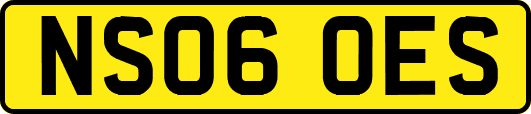 NS06OES
