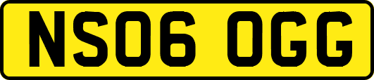 NS06OGG
