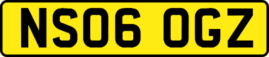 NS06OGZ