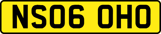 NS06OHO