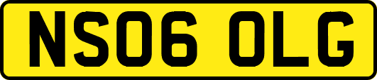NS06OLG