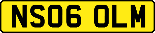NS06OLM