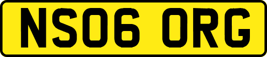 NS06ORG