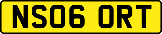 NS06ORT