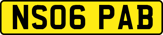 NS06PAB