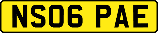 NS06PAE