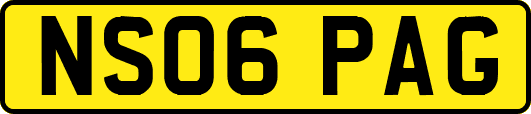 NS06PAG