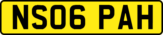 NS06PAH