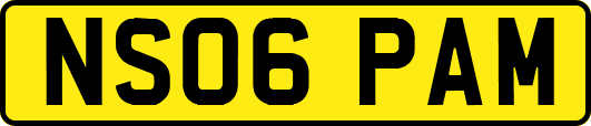 NS06PAM
