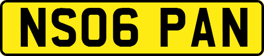 NS06PAN