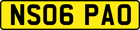 NS06PAO