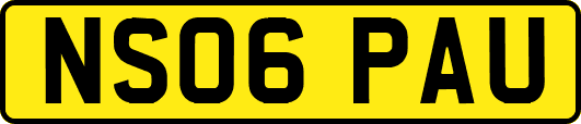 NS06PAU
