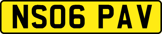 NS06PAV