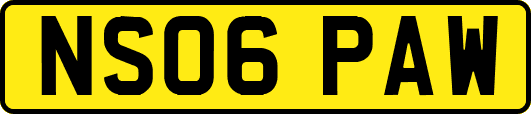 NS06PAW