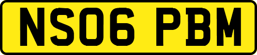 NS06PBM