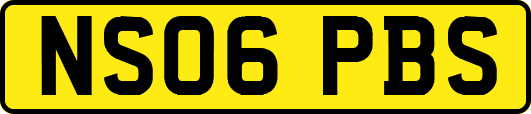 NS06PBS