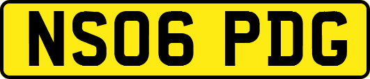 NS06PDG