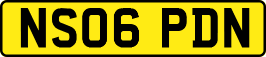 NS06PDN
