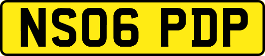 NS06PDP