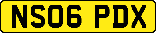 NS06PDX