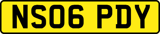 NS06PDY